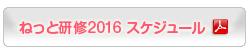 ねっと研修2016 スケジュール