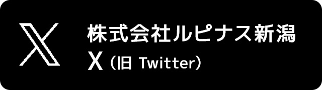 ������Ѓ��s�i�X�V�� X