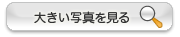 傫ʐ^