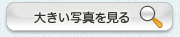 大きい写真を見る